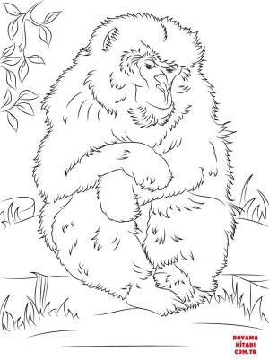 Maymun boyama sayfası, Monkey coloring page, , monkeys cute japanese macaque 