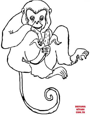 Maymun boyama sayfası, Monkey coloring page, , monkeys favorite banana 