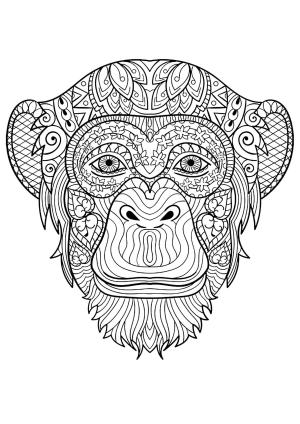 Maymun boyama sayfası, Monkey coloring page, Maymun Kafası Mandala, 