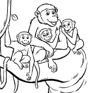 Maymun boyama sayfası, Monkey coloring page, Aile Maymun, 