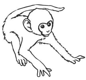 Maymun boyama sayfası, Monkey coloring page, Maymun çizimi, 