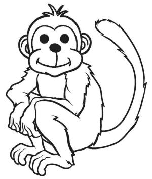 Maymun boyama sayfası, Monkey coloring page, Oturan Maymun Çiz, 