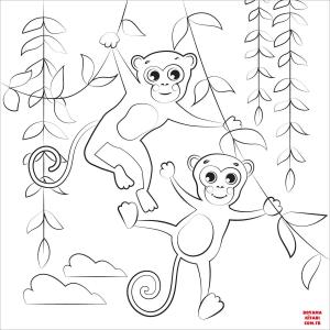 Maymun boyama sayfası, Monkey coloring page, , monkeys monkeys 