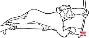 Maymun boyama sayfası, Monkey coloring page, , monkeys monkey holds a liana 