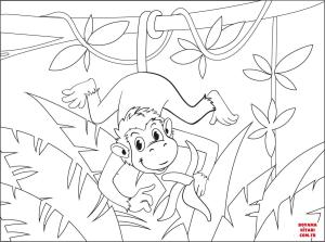 Maymun boyama sayfası, Monkey coloring page, , monkeys monkey 