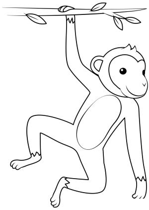 Maymun boyama sayfası, Monkey coloring page, , monkeys hanging monkey 