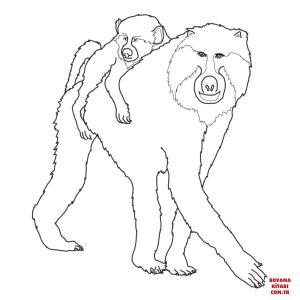 Maymun boyama sayfası, Monkey coloring page, , monkeys mohter and baby baboon 