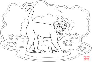 Maymun boyama sayfası, Monkey coloring page, , monkeys monkey 