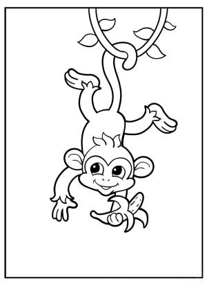 Maymun boyama sayfası, Monkey coloring page, Muz tutan ve bir Ağaçtan baş Aşağı asılı Duran Maymun, 