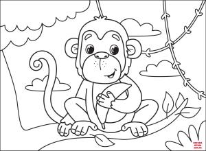 Maymun boyama sayfası, Monkey coloring page, , monkeys monkey 