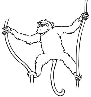 Maymun boyama sayfası, Monkey coloring page, , monkeys monkey hanging on liana 