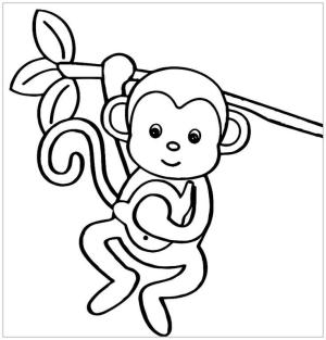 Maymun boyama sayfası, Monkey coloring page, Temel Maymun, 