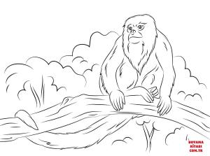 Maymun boyama sayfası, Monkey coloring page, , monkeys howler monkey sitting on a tree 