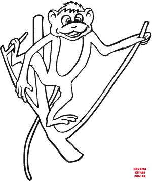 Maymun boyama sayfası, Monkey coloring page, , monkeys monkey holds the branch 