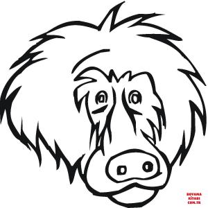 Maymun boyama sayfası, Monkey coloring page, , monkeys face of baboon 