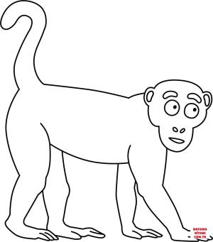 Maymun boyama sayfası, Monkey coloring page, , monkeys funny monkey 