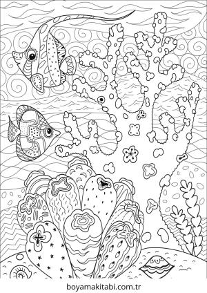 Mercan boyama sayfası – yaratıcılığı geliştirir, keyifli zaman