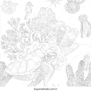 Mercan boyama sayfası – yaratıcılık, eğlenceli etkinlik