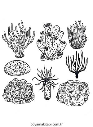 Mercan boyama sayfası – okul öncesi, evde etkinlik