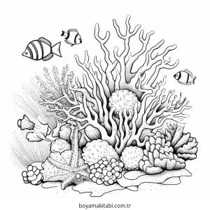 Mercan boyama sayfası – basit çizim, kolay boyama