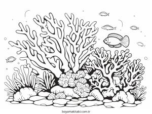 Mercan boyama sayfası – sanatsal çalışma, çocuklar için