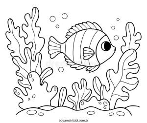 Mercan boyama sayfası – el becerilerini geliştirir, boyama çalışması