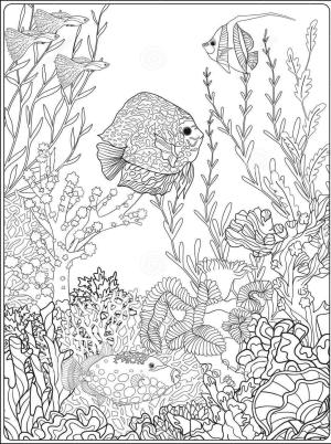 Mercan boyama sayfası,  coloring page, Mercan Çizimi, 