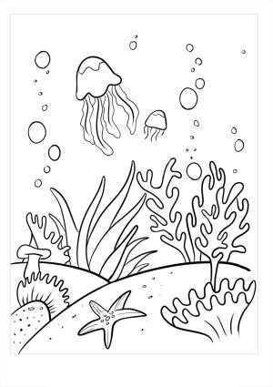 Mercan boyama sayfası,  coloring page, Temel Mercan, 