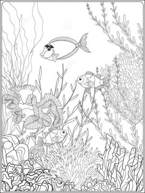 Mercan boyama sayfası,  coloring page, Güzel Mercan, 