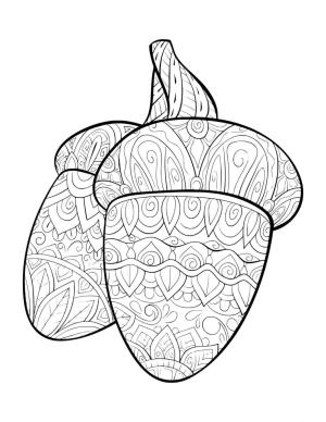 Meşe Palamudu boyama sayfası,  coloring page, Meşe Palamudu Mandala, 