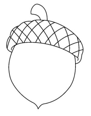 Meşe Palamudu boyama sayfası,  coloring page, Güzel Meşe Palamudu, 