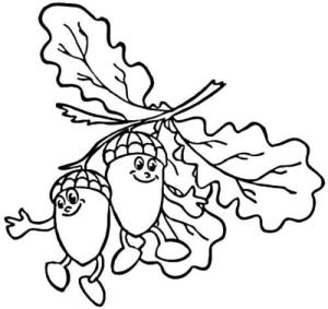 Meşe Palamudu boyama sayfası,  coloring page, Iki Meşe Palamudu, Güleryüzlü, 