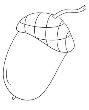 Meşe Palamudu boyama sayfası,  coloring page, Meşe Palamudu Kolay, 