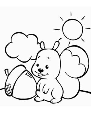 Meşe Palamudu boyama sayfası,  coloring page, Sincap ve Meşe Palamudu, 