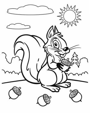 Meşe Palamudu boyama sayfası,  coloring page, Sincap ve Meşe Palamudu, 