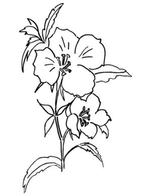 Mevsimler boyama sayfası,  coloring page, Bahara Veda, 