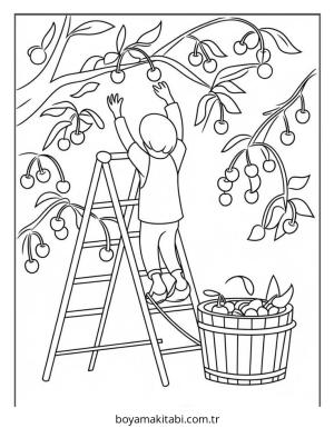 Meyve boyama sayfası – keyifli zaman, renkli çizimler