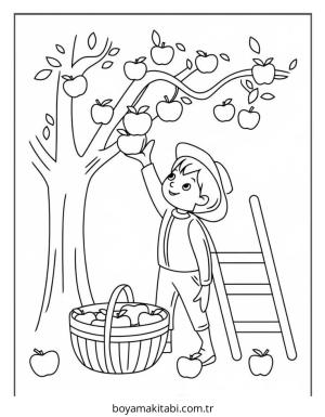 Meyve boyama sayfası – çocuk aktivitesi, PDF indir