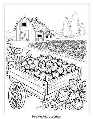Meyve boyama sayfası – keyifli zaman, renkli çizimler