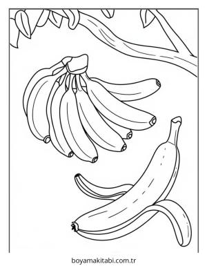 Meyve boyama sayfası – evde etkinlik, ücretsiz yazdır