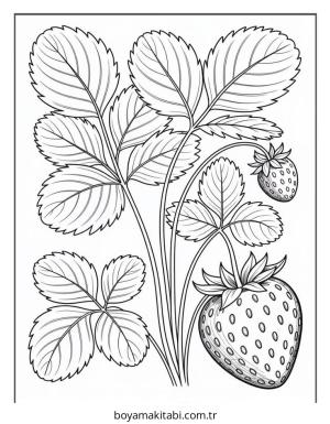 Meyve boyama sayfası – boyama etkinliği, çocuk aktivitesi