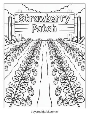 Meyve boyama sayfası – renkli çizimler, okul öncesi