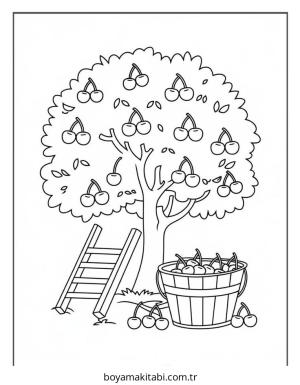 Meyve boyama sayfası – evde etkinlik, ücretsiz yazdır