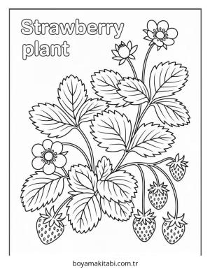Meyve boyama sayfası – el becerilerini geliştirir, boyama çalışması