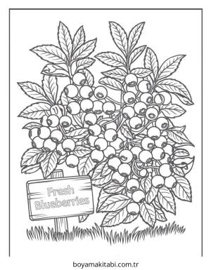 Meyve boyama sayfası – boyama etkinliği, çocuk aktivitesi