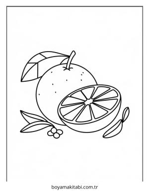 Meyve boyama sayfası – basit çizim, kolay boyama