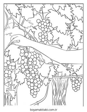 Meyve boyama sayfası – sevimli karakter, sanatsal çalışma