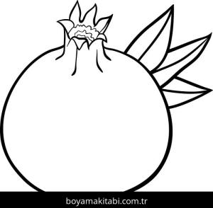 Meyveler boyama sayfası – boyama çalışması, yaratıcılığı geliştirir