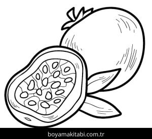 Meyveler boyama sayfası – renkli çizimler, okul öncesi