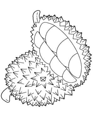 Meyveler boyama sayfası,  coloring page, Durian, 